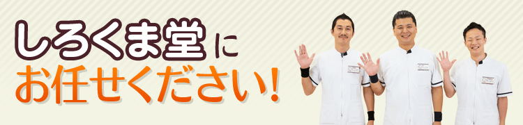 しろくま堂にお任せください!